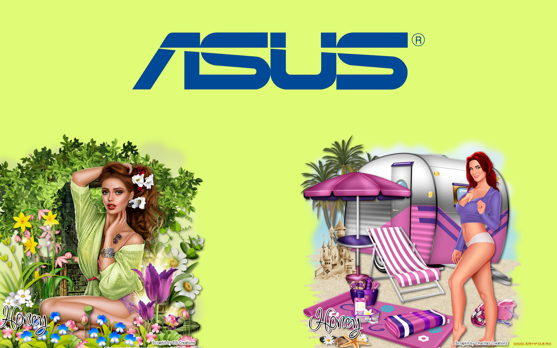 , asus, , 